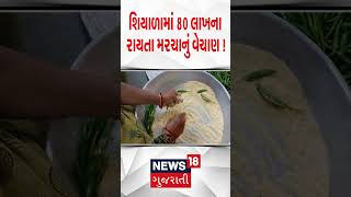 Surendranagar ના વઢવાણના મરચાનું ધૂમ વેચાણ | Wadhwan | Chillies | Income | News18 | N18S