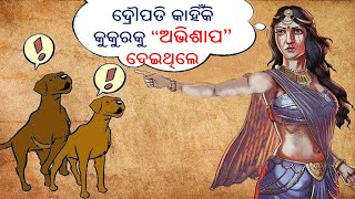 ଦ୍ରୌପଦୀ କାହିଁକି କୁକୁରକୁ ଅଭିଶାପ ଦେଇଥିଲେ କି କୁକୁର ସମସ୍ତଙ୍କ ଆଗରେ ସଂଭୋଗ କରିବ ବୋଲି...