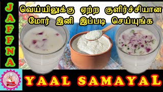 யாழ்ப்பாண முறையில் மோர்   |  Mor Recipe in Tamil | Masala Buttermilk |  | JAFFNA SAMAYAL |