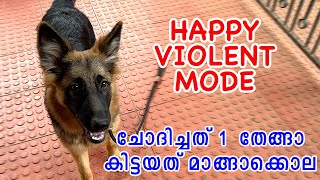 നാൻ ഇനി വെറും HAPPY അല്ല TERROR ഡ്രാഗൺ ഹാപ്പി : How do you train a dog to bark at strangers?