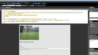 Using Expression Web 4 to create a template