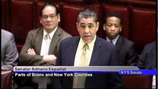 Senator Espaillat 's session remarks on the Senate Budget Resolution