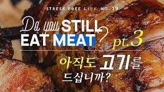 Do You Still Eat Meat? Pt.3 | 아직도 고기를 드십니까? 3부 (ENG CC)