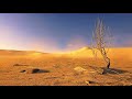 No copyright video desert scenes background footage