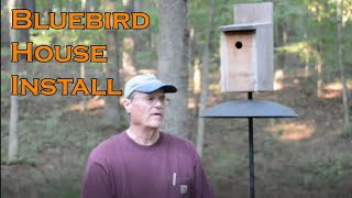 Bluebird House install and what we do differently than most people