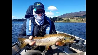 Derwent River Sea Run and Brown Trout