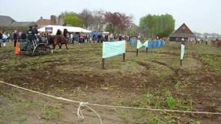 Ploegwedstrijd  in Berlicum, wedstrijd dubbelspan paarden.