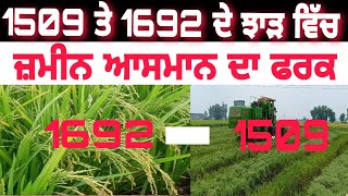 1509 ਤੇ 1692 ਦੇ ਝਾੜ ਵਿੱਚ ਜ਼ਮੀਨ ਅਸਮਾਨ ਦਾ ਫਰਕ/1590 te1692 de jhad vich jmeen asman da farak