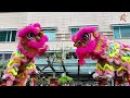 suria klcc acrobatic lion dance by khuan loke 馬來西亞群樂體育會 cny 2025