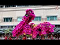 suria klcc acrobatic lion dance by khuan loke 馬來西亞群樂體育會 cny 2025