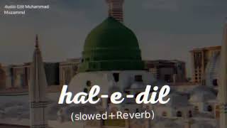 Hal-e-Dil kis ko sunain [Naat]by Ghulam Mustafa Qadri (Slowed+Reverb)