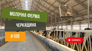 #109 Ферма ВРХ 🐄 на Черкащині. Корови на каруселі, сучасний молочний комплекс 👌