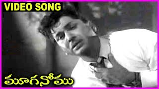 Mooga Nomu - Telugu Super Hit Video Song -  ANR , Jamuna