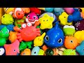 Learn Sea Animal Names and Facts , Sea Animals for Kids , Sea Creatures for Kids, Sea Animal Toys