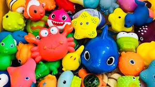 Learn Sea Animal Names and Facts , Sea Animals for Kids , Sea Creatures for Kids, Sea Animal Toys