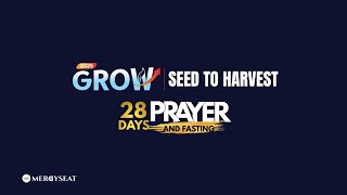 Day 24 | Seed to Harvest Prayer