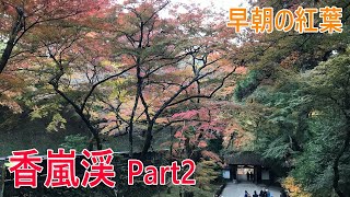 【NMAX155】混雑はしていない！早朝の香嵐渓の紅葉 Part2『香積寺～薫楓橋～香嵐橋』 ： 2021年11月20日