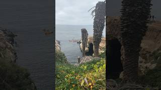 Kayaking in la Jolla cove