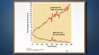 Quantitative Genetics: Introduction