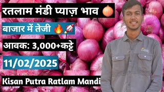 नया नासिक प्याज 🧅 11 February 2025 भाव#todayratlammandipyajrate