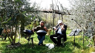 Johnny Cash's Hurt - Handpan and Violin Duet