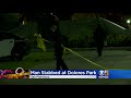 san francisco police investigate stabbing in dolores park