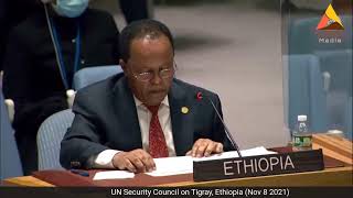 UN Security Council - on Ethiopia