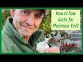 How to Sow Garlic for Maximum Yield