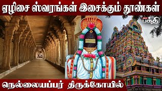 32 தீர்த்தங்கள் கொண்ட திருத்தலம் | நெல்லையப்பர் திருக்கோயில் | Arulmigu Nellaiappar Temple