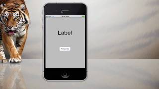 iPhone Programming-IF Statement