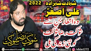 Zakir Shoukat Raza Shoukat 2022 Yadgar Masaib | Shahzada Ali Asghar a.s