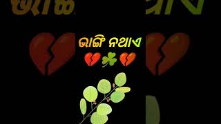 ସମ୍ପର୍କ ଟା ଯଦି ହୃଦୟ ରୁ ହେଇ ଥାଏ Miss Roji | Odia Heart Touching Love Story video