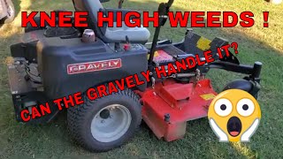 GRAVELY with KAWASAKI 691V CAN IT HANDLE KNEE HIGH WEEDS?  Overgrown field of weeds.