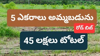 5 ఎకరాలు భూమి అమ్మబడును# 9 లక్షలు ఎకరం#srrealestategodavarikhani