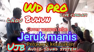 JERUK MANIS||WD PRO||COVER WAWAN TEBE||LAGU BUHUN||AUDIO JERNIH GLEER....