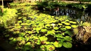 台東知本森林遊樂區(Jhihben National Forest Recreational Area)