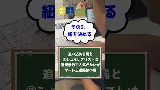 予想法を一挙公開！～プロの予想屋のルーティン～