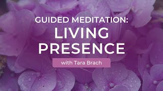 Guided Meditation: Living Presence with Tara Brach