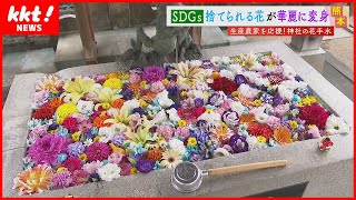 【SDGs】捨てられる花が神社で華麗に変身　手と心を清める「花手水」でフラワーロスを低減