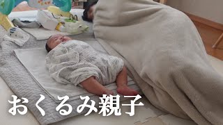 【おくるみ】布に包まれて即寝する生後３か月の赤ちゃんとアラサーのパパ【寝かしつけ】