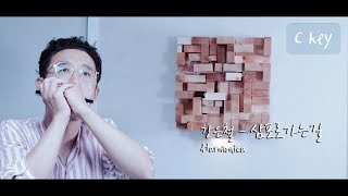 강은철-삼포로가는길 / Harmonica cover 정훈