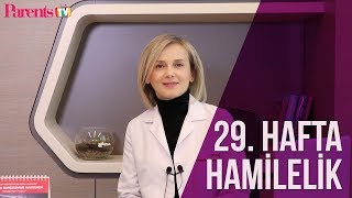 Parents TV - 29. Hafta Hamilelik