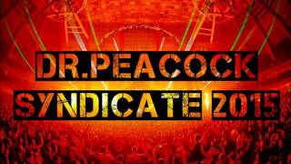 Dr. Peacock (Liveset) @ Syndicate 2015