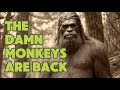 Bigfoot at Bumping Lake | New 2024 Documentary | Audio Files