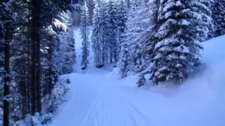 Skiweg zur Talstation der Steinbergbahn in Leogang (Piste 91)