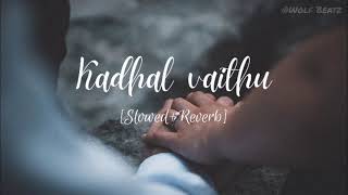 Kadhal Vaithu | Slowed+Reverb | Cover version | Remix | Wolf Beatz
