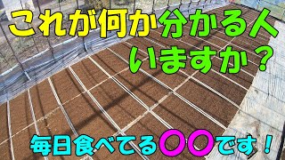 【米農家への道】日本の米作りはここから始まる！初春の大事な大事な種蒔き編！今年も美味しいお米を作ろう！