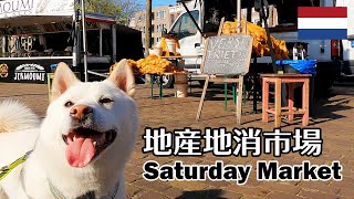 柴犬柿丸 日本のお店増えてます 土曜市場【オランダ / 環境音 / 4K】Kaki-Maru the Shiba Inu