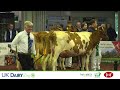 UK Dairy Day 2024 Live Stream