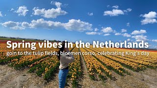 Dutch spring vibes‼︎🇳🇱🌷オランダの春を大紹介‼︎|チューリップ畑、お花のカーニバル、キングスデイ✨［ENG sub］